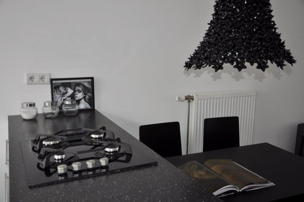 786Loft Villa Alkmaar Room photo